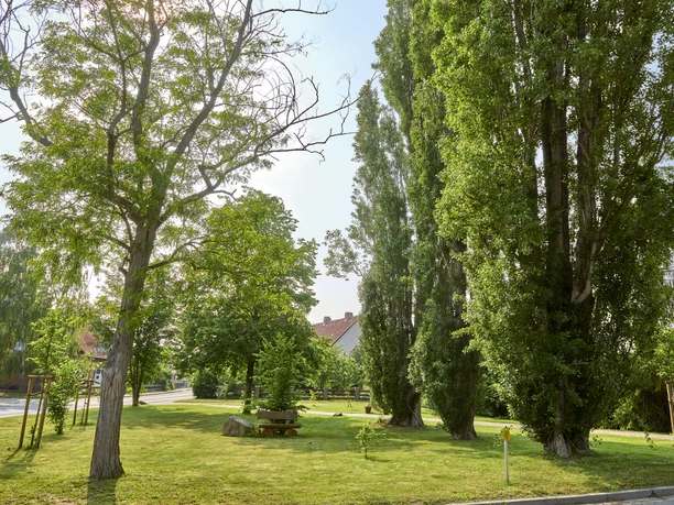 Rastplatz in Wetzleben Rastplatz in Wetzleben