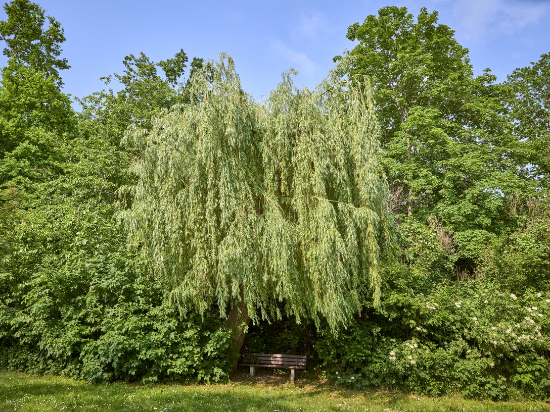 Rastplatz unter Bäumen in Seinstedt Rastplatz unter Bäumen in Seinstedt