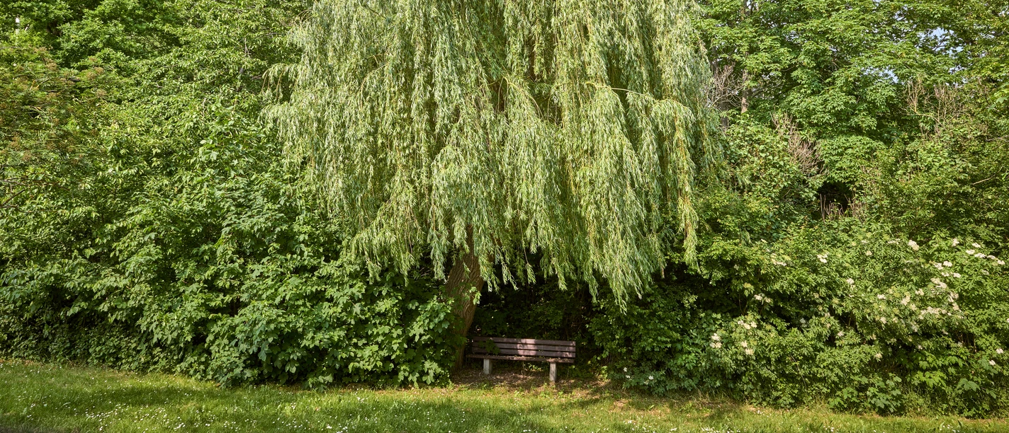 Rastplatz unter Bäumen in Seinstedt Rastplatz unter Bäumen in Seinstedt