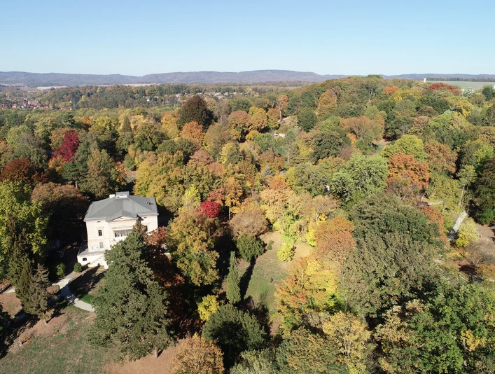 Nordhausen-Hohenrode-Blick-über-den-Park-im-Herbst-Föderverein-Park-Hohenrode-ev.JPG Nordhausen-Hohenrode-Blick-über-den-Park-im-Herbst-Föderverein-Park-Hohenrode-ev.JPG