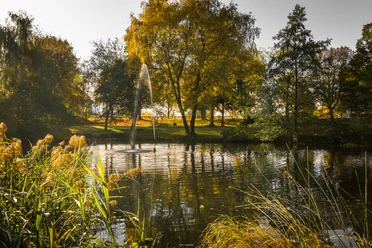 Früh am Morgen am Markdorfer Weiher. Wohl eines der schönsten Plätzchen in Martkdorf. Früh am Morgen am Markdorfer Weiher. Wohl eines der schönsten Plätzchen in Martkdorf.