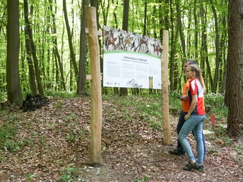 An der Alten Burg Warberg