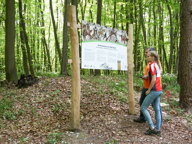 An der Alten Burg Warberg