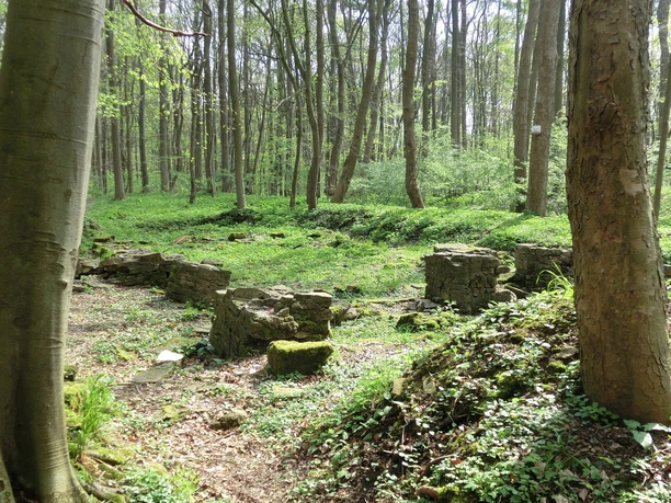 Elmsburg