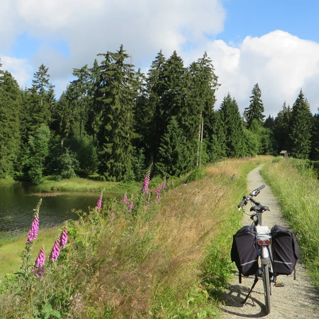 Radtour am Oberharzer Wasserregal