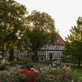 Rosengarten Salzgitter-Bad
