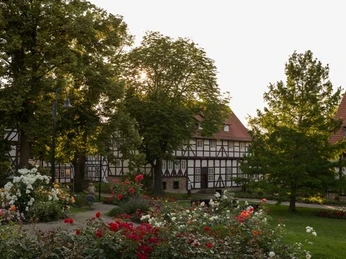 Rosengarten Salzgitter-Bad