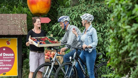 Boxenstop an einem der Obsthöfe am Elm