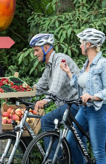 Boxenstop an einem der Obsthöfe am Elm