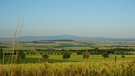 Heeseberg