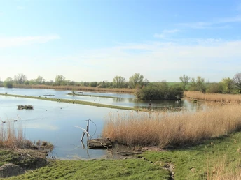 Schöppenstedter Teiche