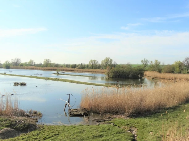 Schöppenstedter Teiche