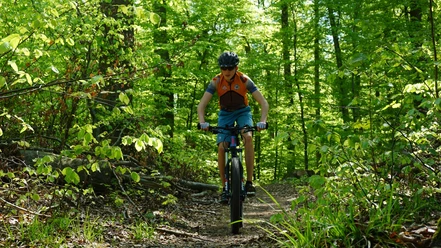 Trail zurück nach Warberg