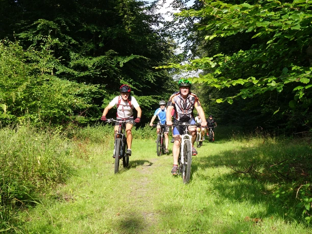 Auffahrt zum Drachenberg