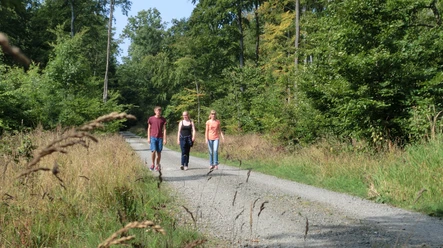 Entspanntes Wandern ohne Gepäck auf dem Elmkreisel