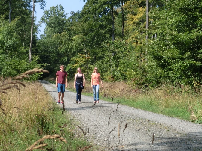 Entspanntes Wandern ohne Gepäck auf dem Elmkreisel