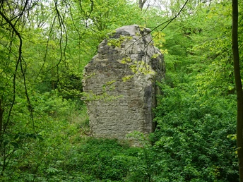 Blick auf die Burgruine Langeleben