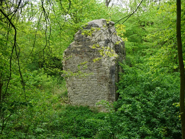 Blick auf die Burgruine Langeleben