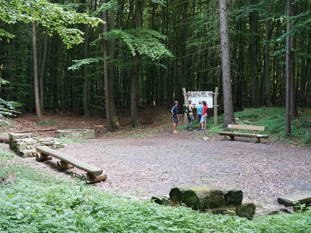 Alte Burg Warberg