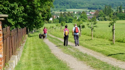 Am Gutspark
