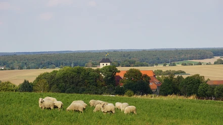 Blick auf die Burg warberg