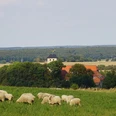 Blick auf die Burg warberg