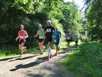 Auf dem Bierweg im Elm