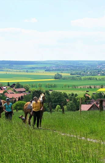 Blick vom Dorm auf Gr. Steinum und den Elm
