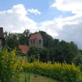 Blick auf die Kirche in Beendorf