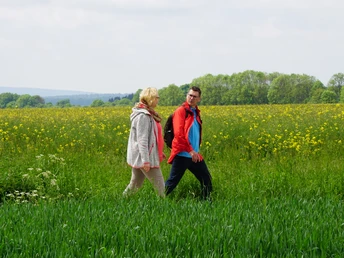 Auf dem Rückweg nach Mariental-Horst
