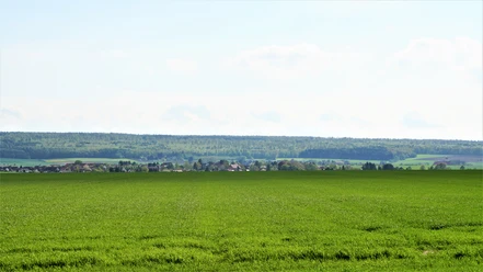 Blick über Wolsdorf zum Elm