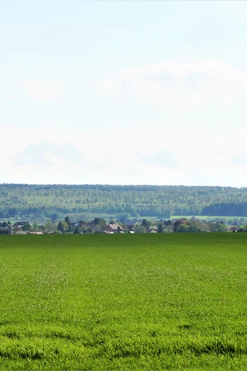 Blick über Wolsdorf zum Elm