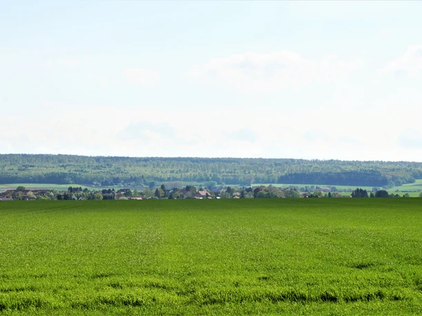 Blick über Wolsdorf zum Elm