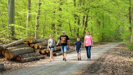 Auf dem Kötenweg