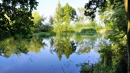 Bornteich