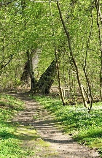 Durch die Teufelsküche zur Schunterquelle