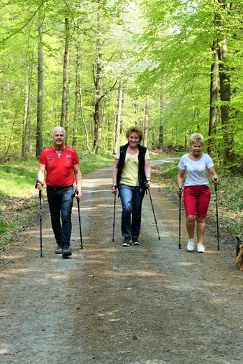 Zurück zum Parkplatz Elmstraße