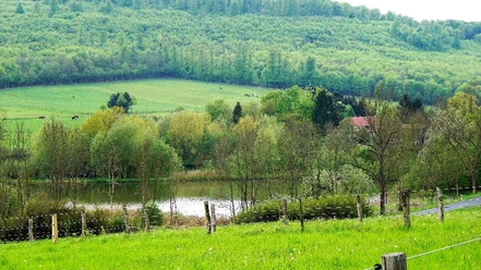 Reitlingstal mit Großem Teich