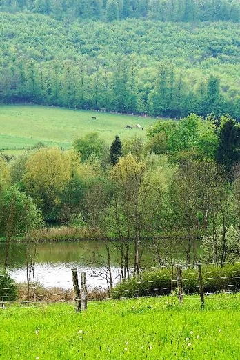 Reitlingstal mit Großem Teich