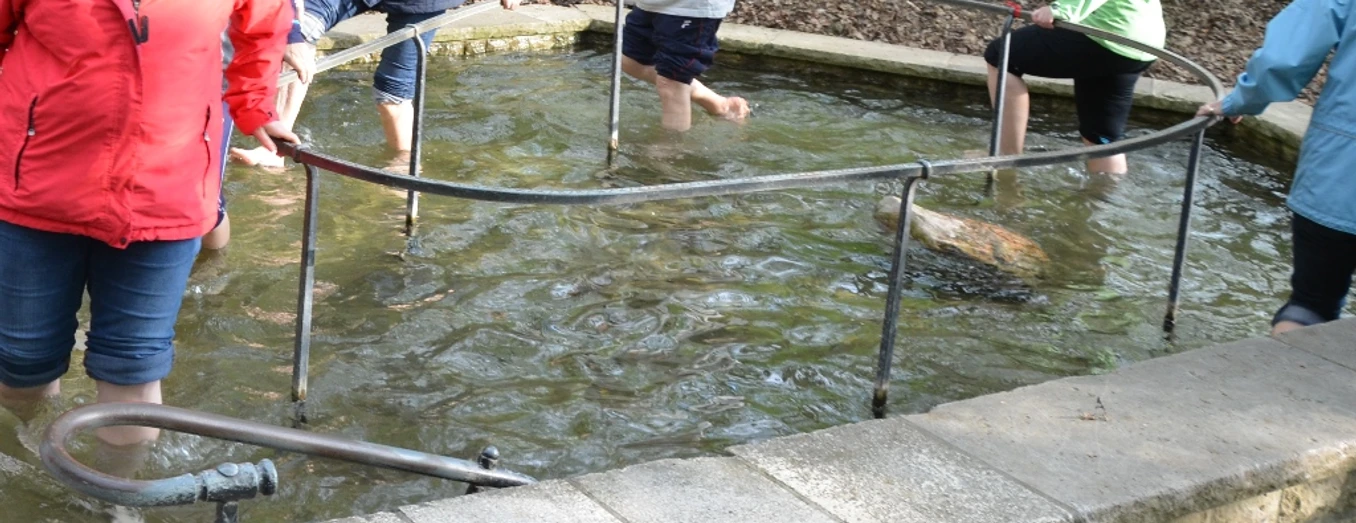 Kneipp-Tretbecken Salzgitter-Bad