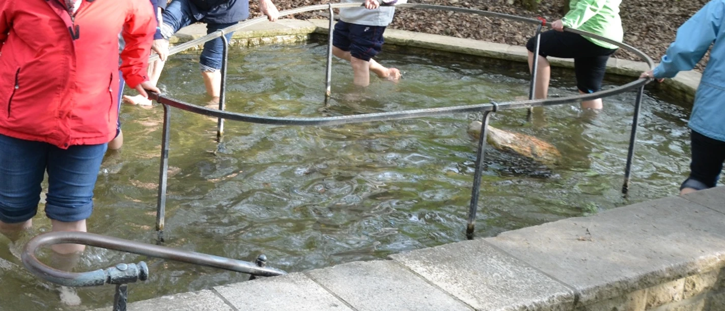 Kneipp-Tretbecken Salzgitter-Bad