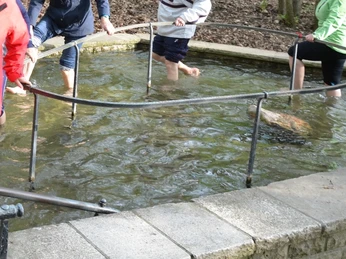 Kneipp-Tretbecken Salzgitter-Bad