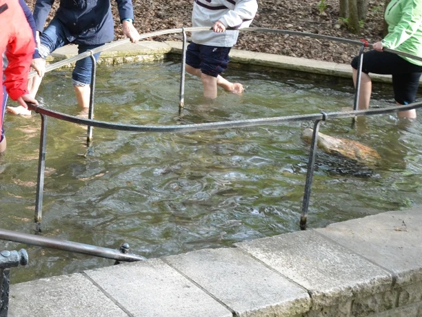 Kneipp-Tretbecken Salzgitter-Bad