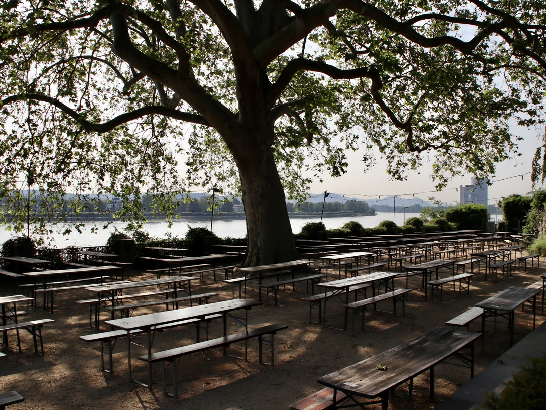 Biergarten Alter Zoll, Bonn