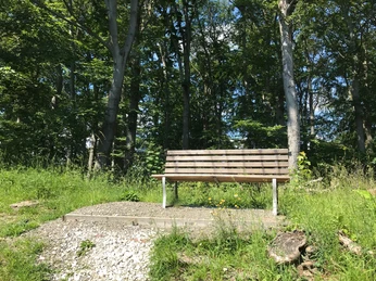 Bank zwischen Bismarckturm und Asseburg Ruine