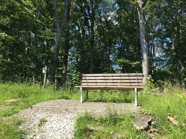 Bank zwischen Bismarckturm und Asseburg Ruine