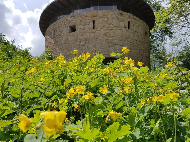 Flankierungsturm Liebenburg