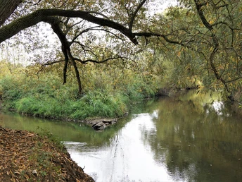 Die Schuntermündung bei Walle