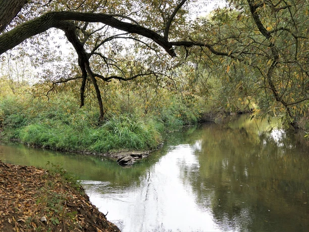 Die Schuntermündung bei Walle