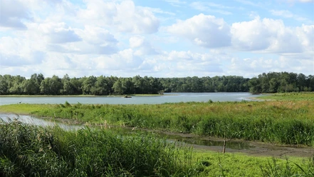 Ilkerbruch